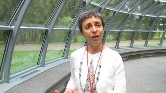 During HEAL 2016 in Italy, Ph. D. Gabriella Tognola on e-Health смотреть онлайн