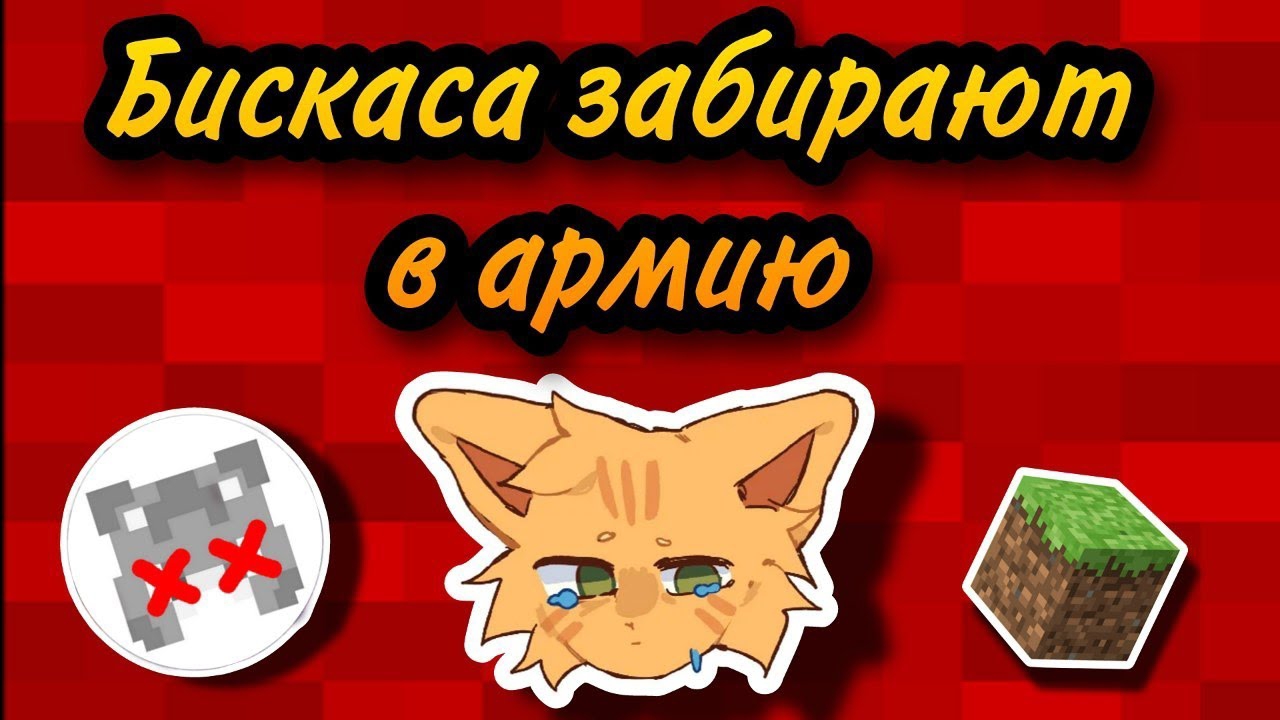 Бискаса забирают в армию... | Clex украл видео бискаса ?