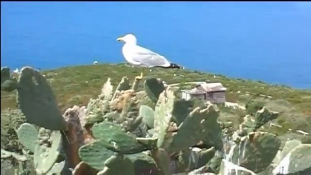 Isla De Benidorm (Spanish)