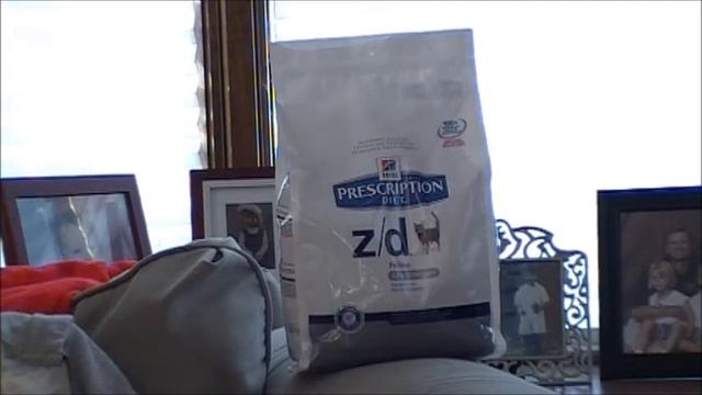 Zion Preppers EDC Cat and why we need to Prep for him too смотреть онлайн