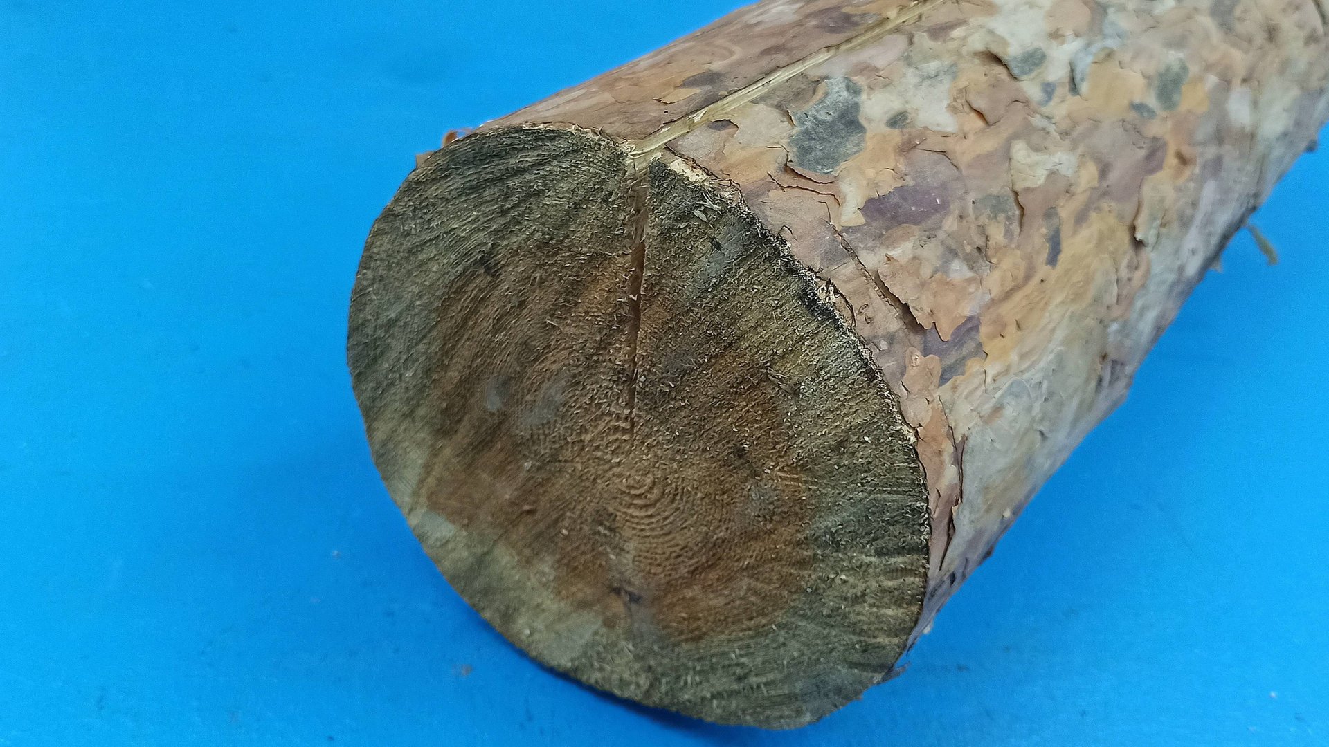 Блестящая идея из старого бревна своими руками смотреть онлайн