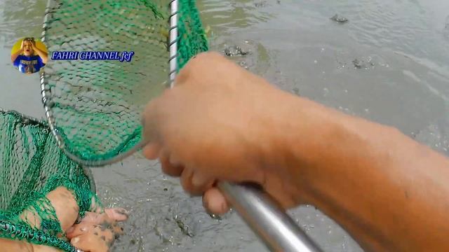 REZEKI NOMPLOK banyak pasukan Buri yang gak tau kalo di lubang² ada yang tersembunyi harganya mahal смотреть онлайн