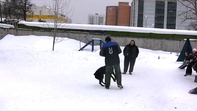 Тренировка 6 Март 2011 смотреть онлайн
