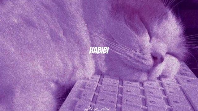 Habibi_dj Gimi-o X Albanian (Speed Up)