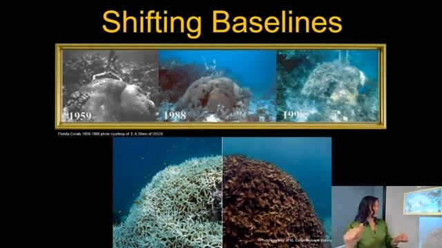 Coral Reef Conservation Talk w/ Jess Reese смотреть онлайн
