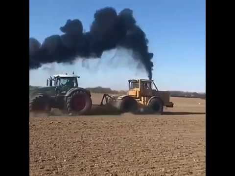 кто кого? смотреть онлайн