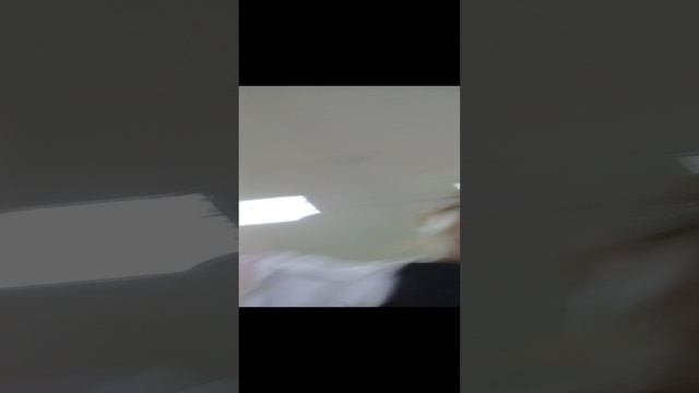 VID_20241206_144802[1]