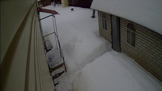 Запись с IP камеры днем смотреть онлайн