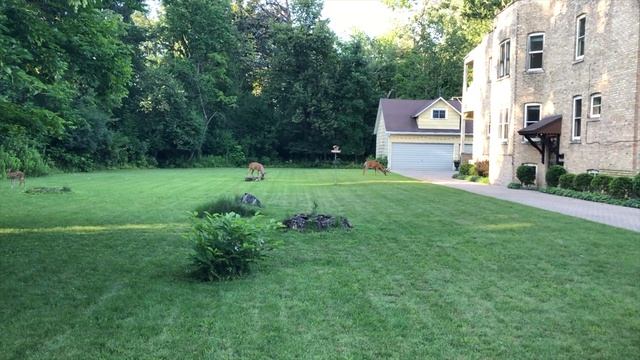 Америка меня удивила: всё для людей и БЕСПЛАТНО! | Закупка продуктов в Costco | VLOG