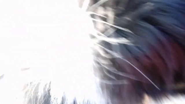 Миска складная смотреть онлайн