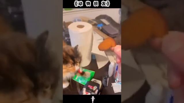 Я кхожу с канала и в январе, 22 на мое день рождения я выткщю видос жди смотреть онлайн