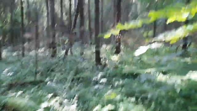 ПЛАЧ СОБАКИ ПО ХОЗЯЙКЕ смотреть онлайн