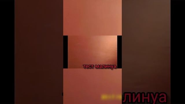 ТЕСТ ОХРАНЫ ТЕРРИТОРИИ МАЛИНУА смотреть онлайн