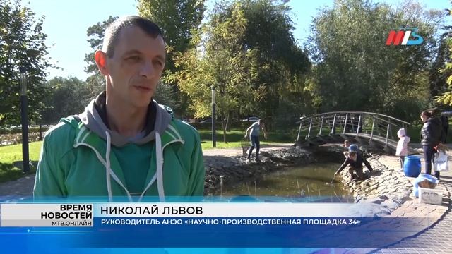 Рыбок из пруда на Центральной набережной Волгограда отправили на зимовку смотреть онлайн