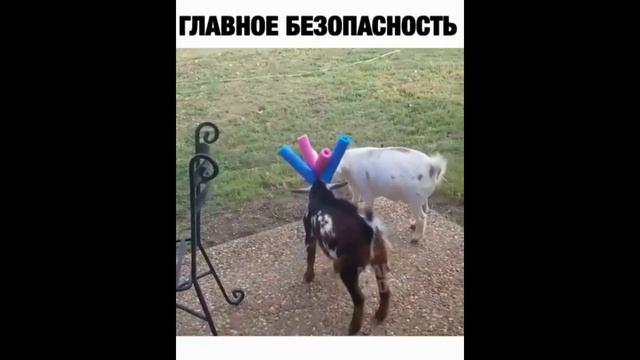 ЛУЧШИЕ ПРИКОЛЫ 2021 до слез угар ТЕСТ НА ПСИХИКУ 2021 ржака прюколюха 10 МИНУТ смеха