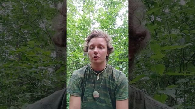 Беседа о психической саморегуляции. смотреть онлайн