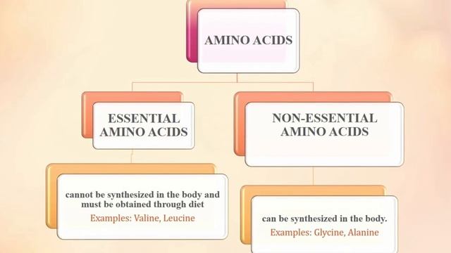 Proteins Aminoacids смотреть онлайн