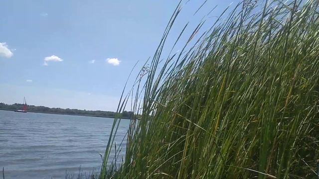 кумженская роща, дон(1)