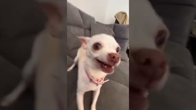 Niki looks so happy❤️ смотреть онлайн