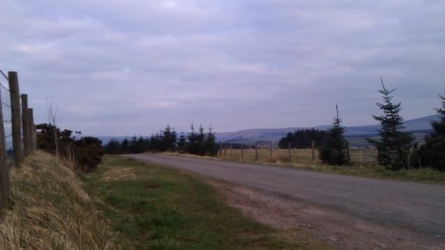 Potter messing on my Crm250 смотреть онлайн