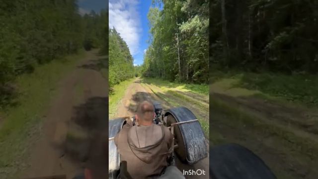 Едем за ШИШКОЙ, Красота природы