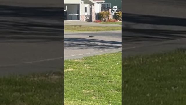 роблот пылесос смотреть онлайн