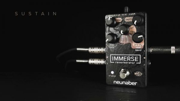Neunaber Immerse Reverberator Mk II - Demo