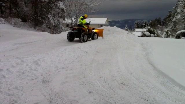 Can-Am Renegade 800 HO EFI 2008 Snowplow