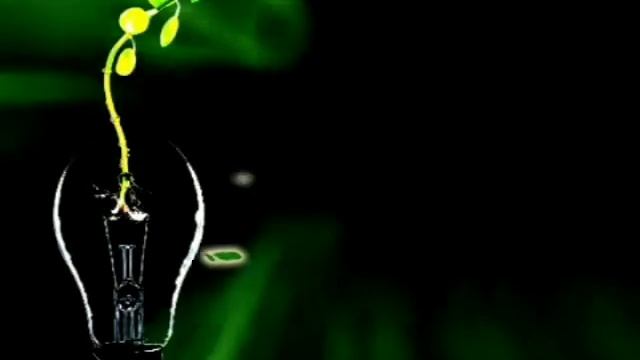 ECO FAUNA 3 смотреть онлайн