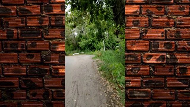 Когда помогают всей страной что получается, рассказываю историю о том, как мы строили дом смотреть онлайн