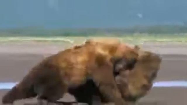 GREKO RIMSKAYA BOR'BA Absolyutka MOSCH'! 360 смотреть онлайн