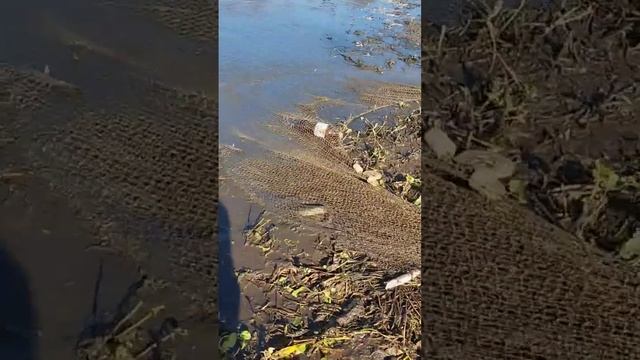 ЧАСТЬ 6 , ПРОДОЛЖАЕМ ЛОВИТЬ ЩУКУ