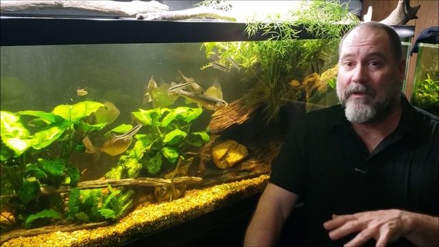 Don't Chase Your pH; Stability Is More Important Than Perfect Numbers смотреть онлайн