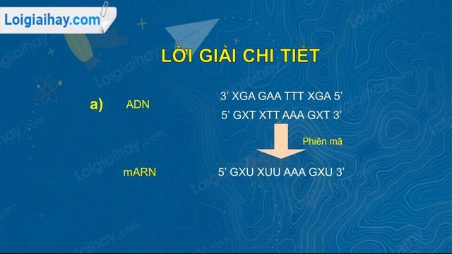 Trả lời câu hỏi số 4 Trang 14 SGK Sinh học 12 смотреть онлайн