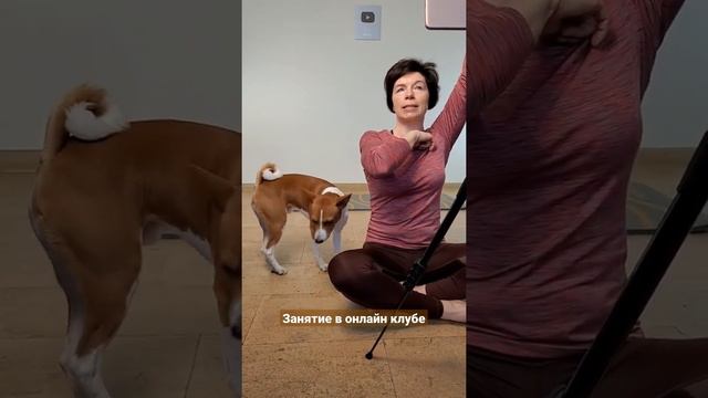 Занятие в онлайн клубе. Рональд требует внимания. смотреть онлайн