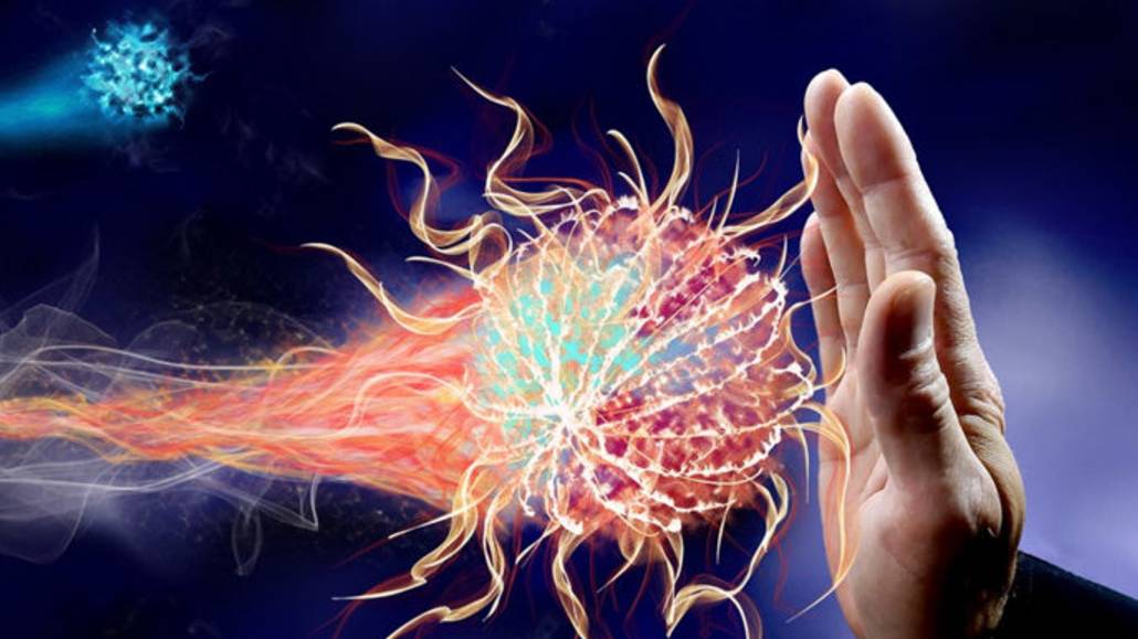 Анатомия: иммунная система человека, урок для детей смотреть онлайн