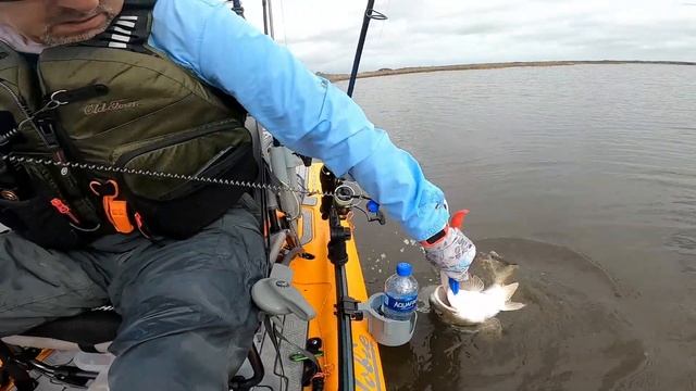 Big Redfish In Shallow Water - Kayak Fishing Northeast Florida