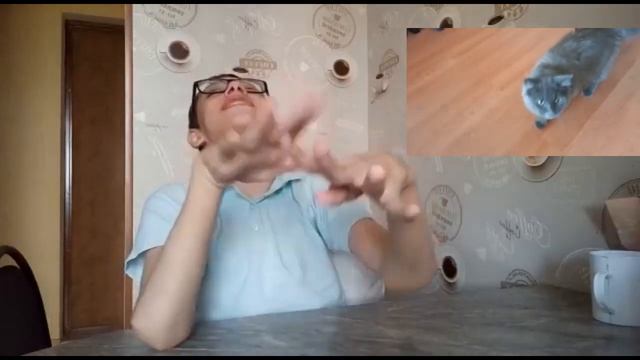 Расставание с кошкой