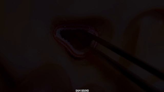 ASMR 춈춈한 해면스펀지 입자 그대로 귓속으로 느낄 수 있는 아주아주 바스락거리는 귀청소★ 시각적팅글은 덤👍 Tingle Ear Cleaning No Talking