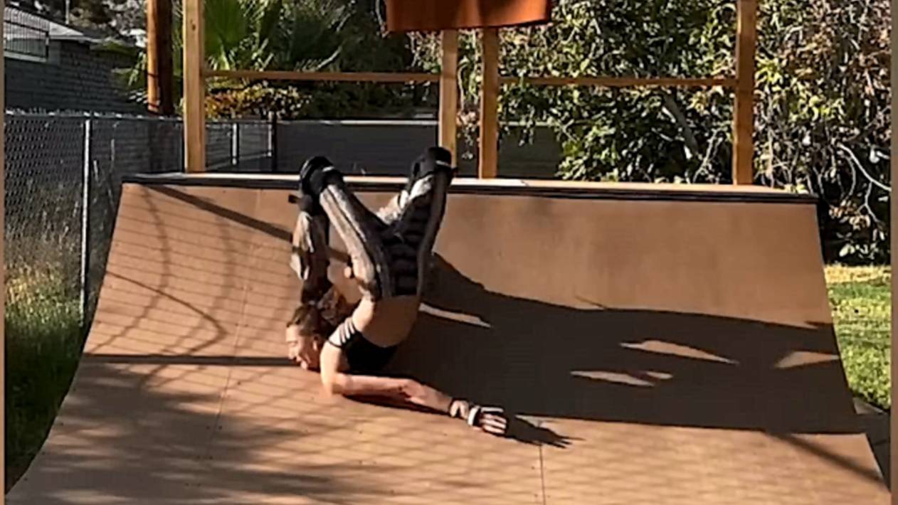 домашние смешные видео смотреть онлайн