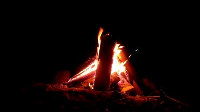 3 True Scary Stories #48 | Night Shift Bartender/Dog Warned Me/While in the Shower смотреть онлайн