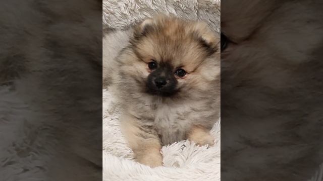 💖💖💖 смотреть онлайн