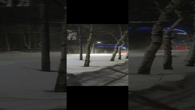 Пурга, въюга или метель? В чём разница? смотреть онлайн