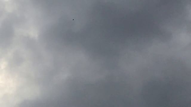 Прилетела голубка 25.05.2017 смотреть онлайн