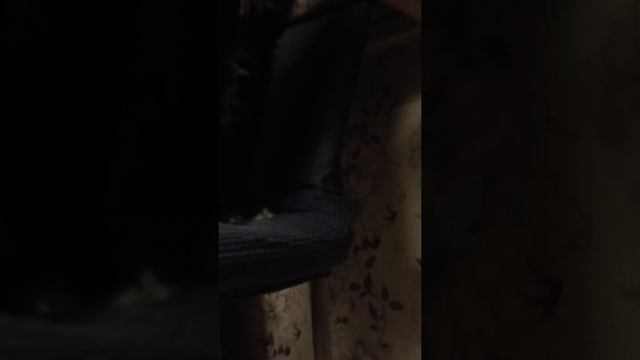 Чу-ча это его имя смотреть онлайн