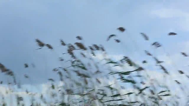 Поездка на речку смотреть онлайн