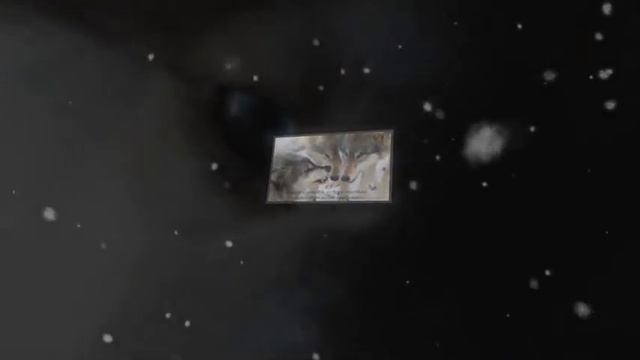 Волчья доля 2.mpg смотреть онлайн