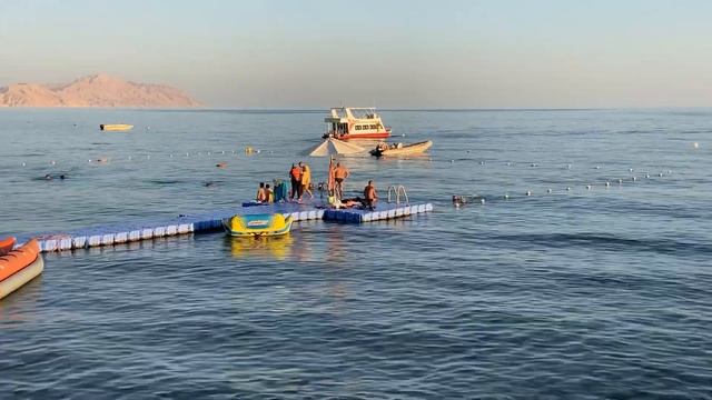 Winter in Sharm el Sheikh. Egypt. Зима в Шарм эль Шейхе. смотреть онлайн