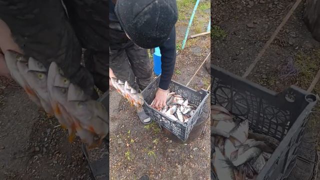 Охота и рыбалка_V