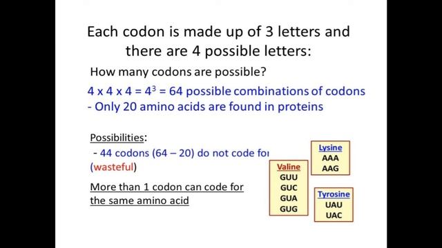 Dr. Fatima Sultana, B. Sc. Part I, Paper III, Unit I, Genetic Code смотреть онлайн